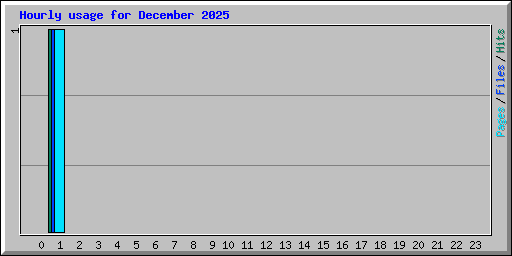 Hourly usage for December 2025